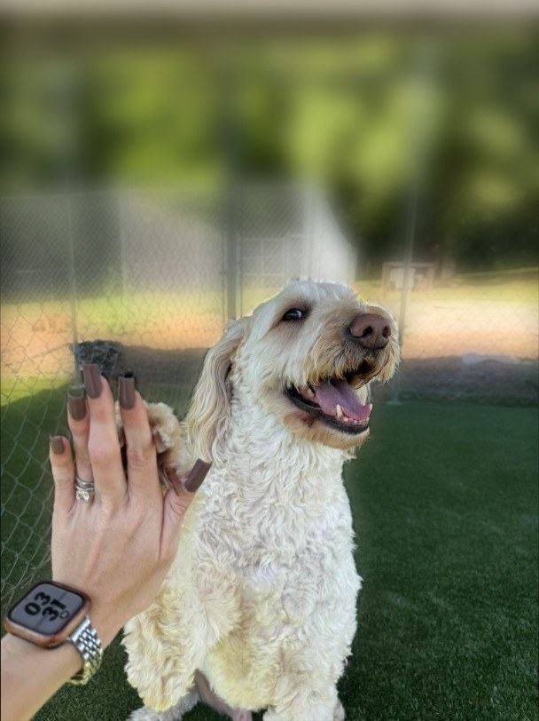 High five