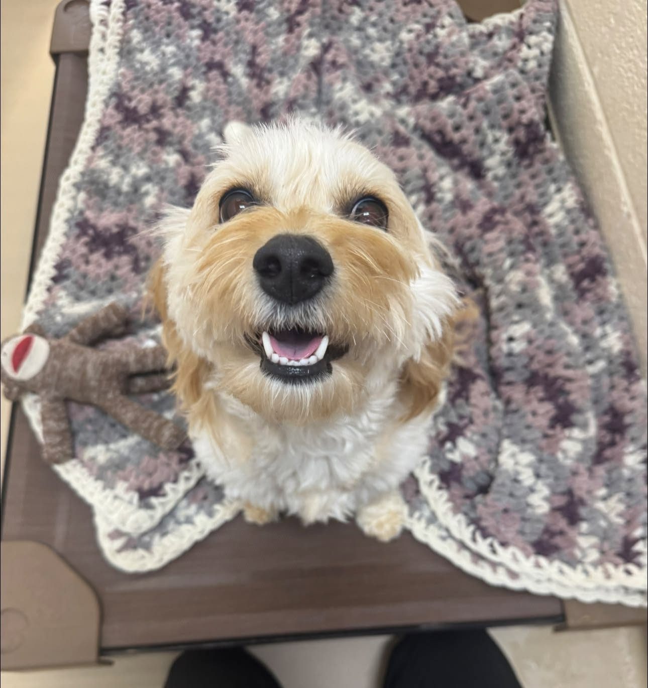 All smiles on her blanket