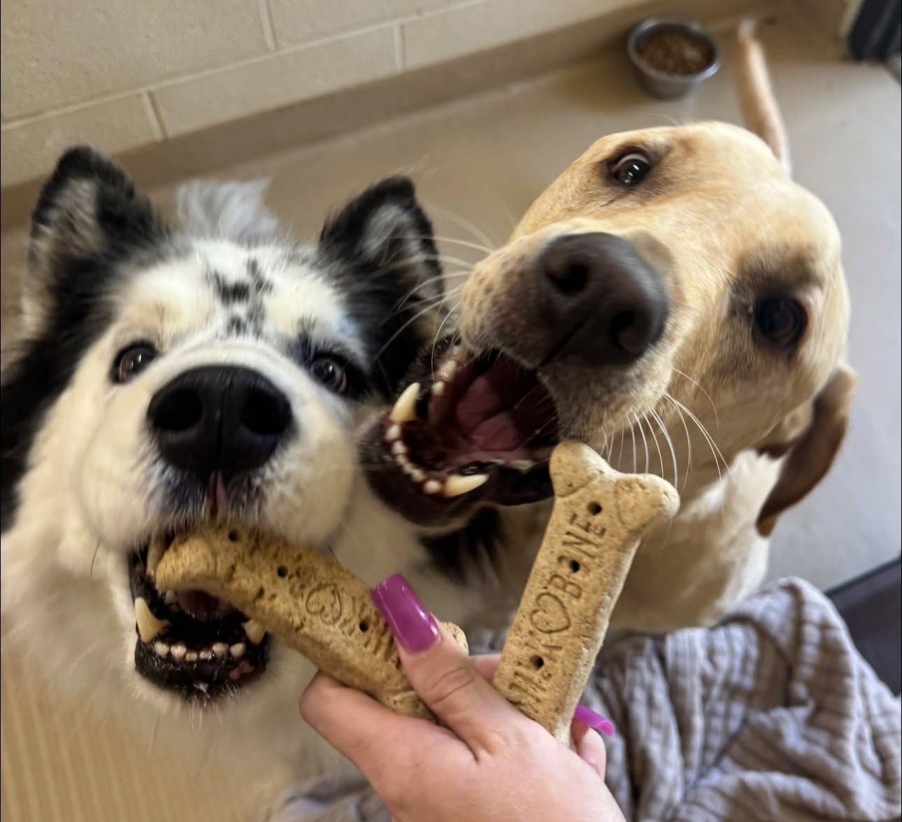 Treat time for two